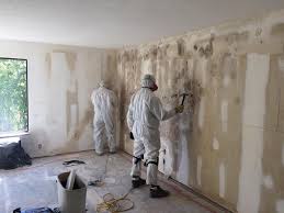 Best Comprehensive Air Testing for Mold Contaminants  in Friendship Heights Village, MD